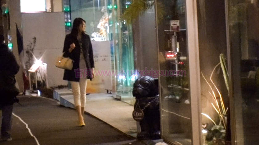 【300MIUM-209】长腿美人系列番号资源