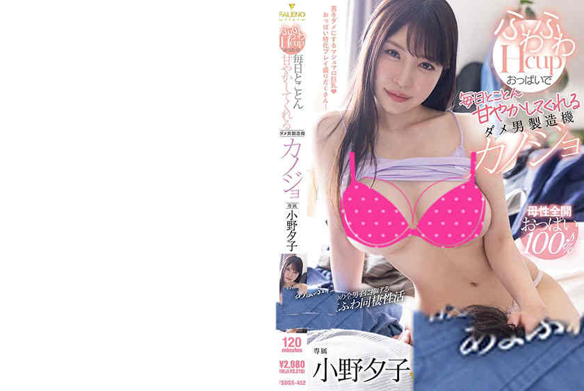 406FSDSS-452小野夕子